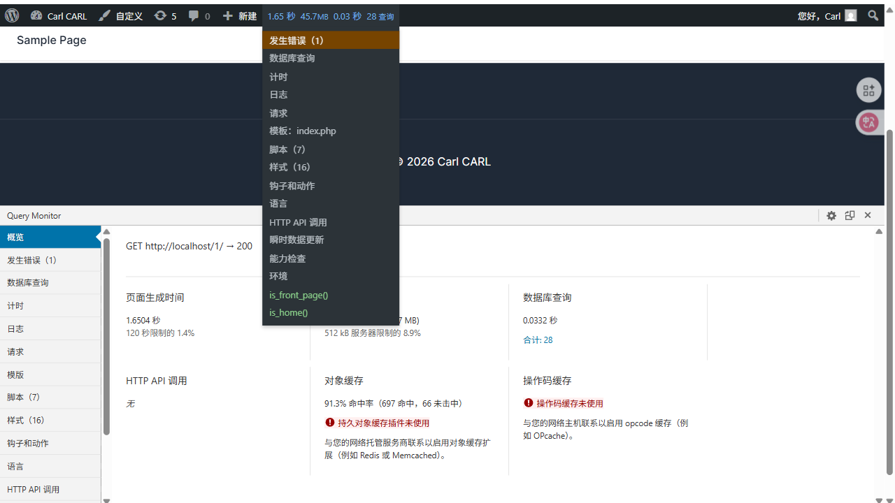 Query Monitor 在前台页面底部打开的调试面板